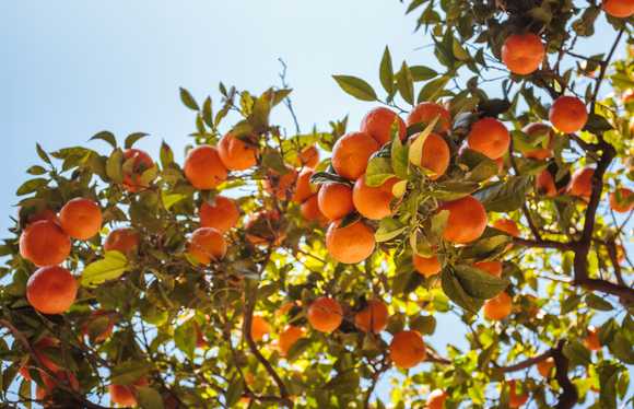 Our life in Spain: The first 6 months